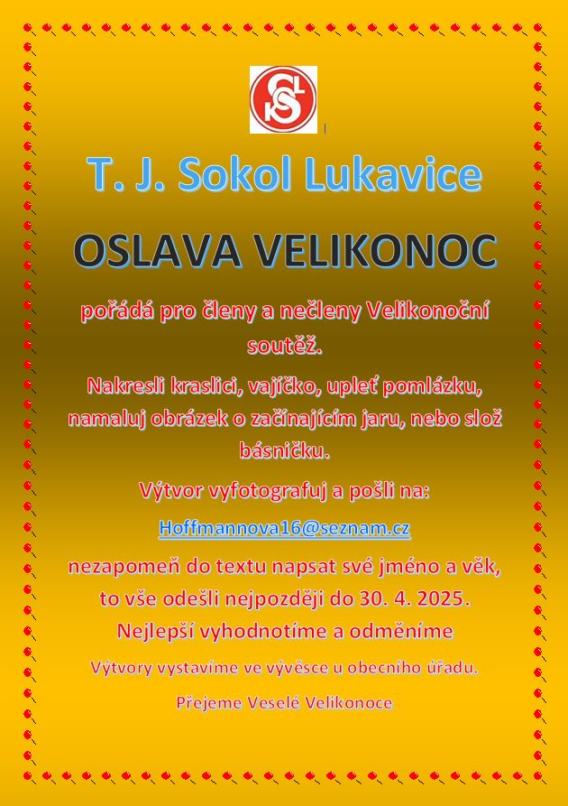 Sokol2.JPG